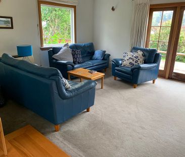 Alfie - Furnished house rental Nelson South - Photo 6