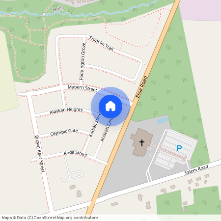 46 Andean Lane, Barrie