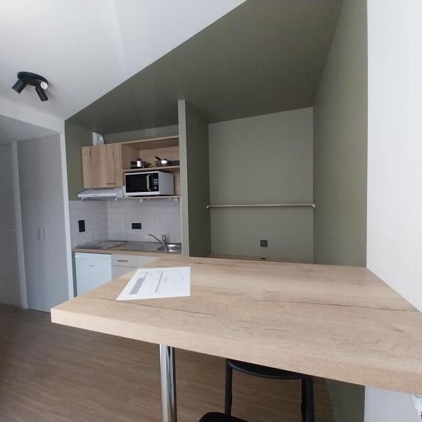 Location Appartement 1 pièce 19m² ORLEANS 45000 - Photo 1