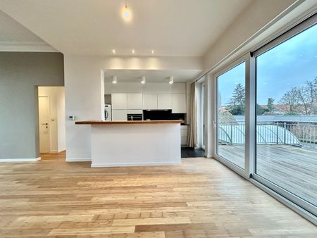 Gezellig 2 slpk appartement met fenomenaal terras - Foto 3