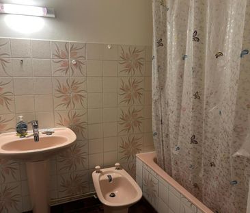 Location Appartement 2 pièces 52m² VICHY 03200 - Photo 2