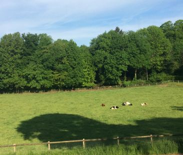Weg Langs Het Hazegrietje 21A2 - Photo 2