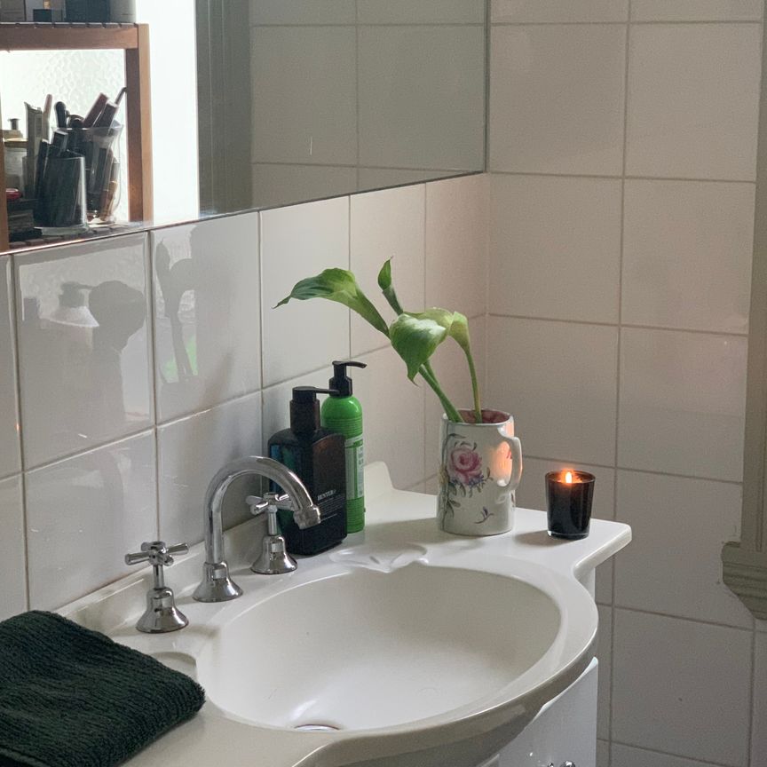 Albert Park - Photo 1