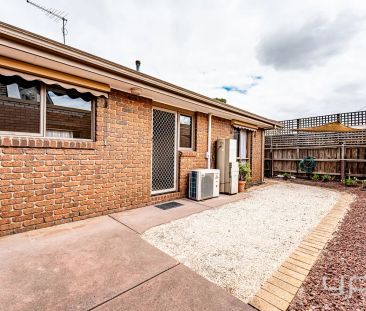 “PICTURE PERFECT!!” - Photo 2