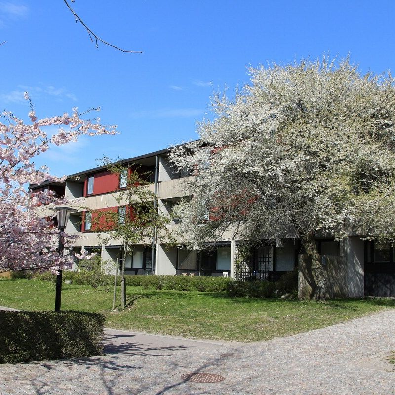 Vildandsvägen, Lund - Foto 2