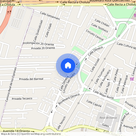 CAMINO REAL PUEBLA (FRENTE A FARMACIA GUADALAJARA), Camino Real, Puebla, Puebla, 72001, México