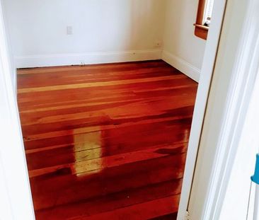 Charming 2-Bed Home in Aro Valley - Photo 6