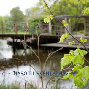 Skøn 3 værelses lejlighed til leje - Photo 3