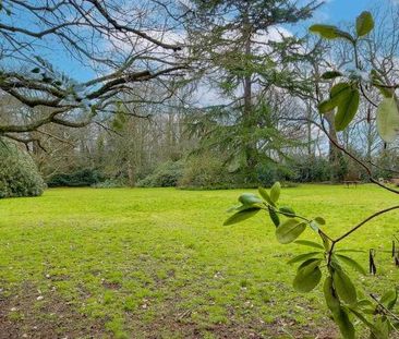 Forty Hill, Enfield, EN2 - Photo 5