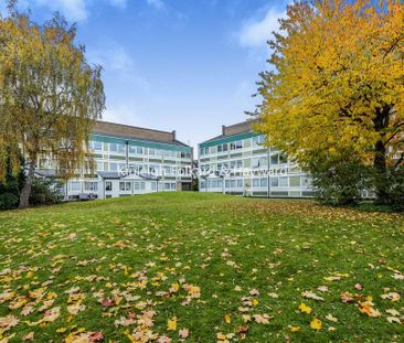 1 bedroom property to rent - Photo 1