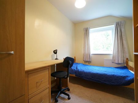 20 Treflan - Photo 5