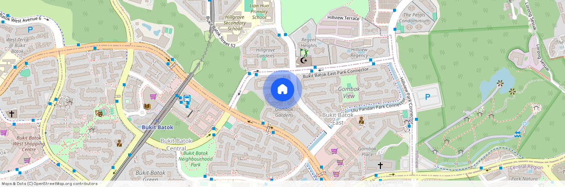 239 Bukit Batok East Avenue 5 (650239), Singapore