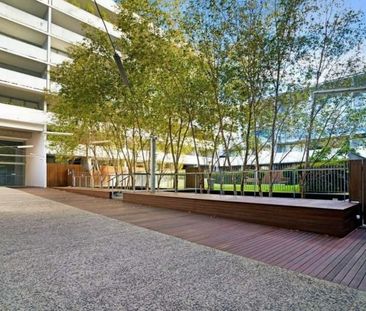 Light-Filled North Facing Apartment with Dual Balconies - Photo 3