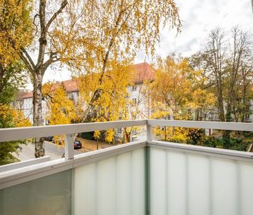 It feels like coming home - Photo 2