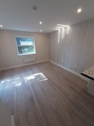 Studio Flat, Minster Rd, NW2 - Photo 1