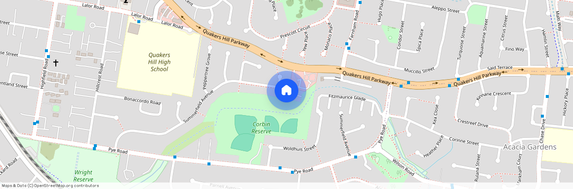 39 Summerfield Ave, NSW 2763, Quakers Hill