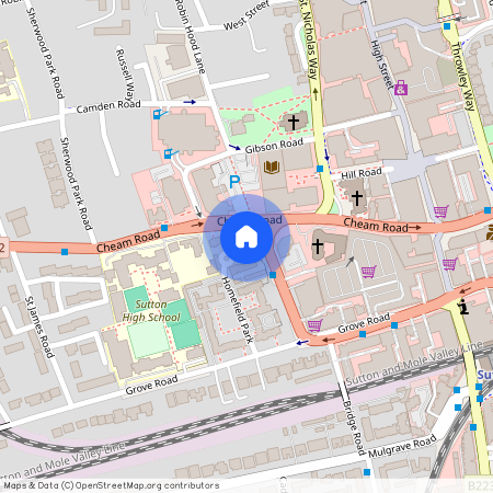 Homefield Park, Sutton, SM1