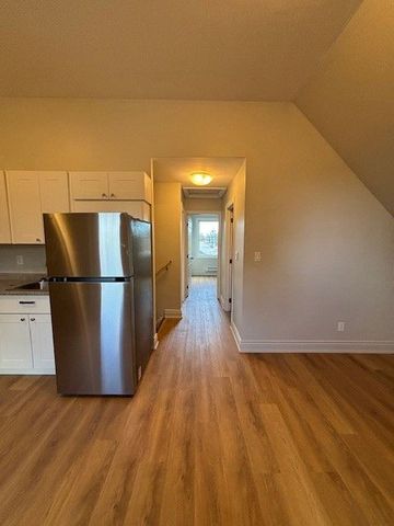 For Lease - 18 Lindsay Street, Kawartha Lakes, Ontario - Photo 4