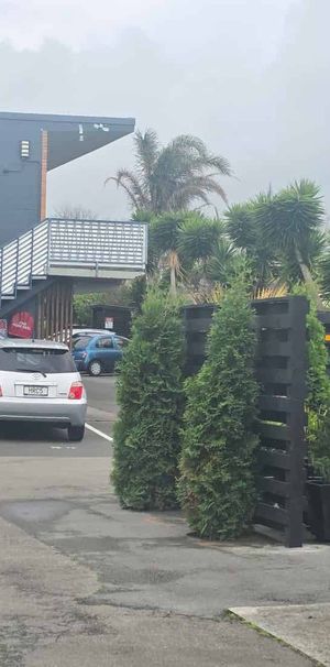 Centrally located & Move in ready! - Photo 2