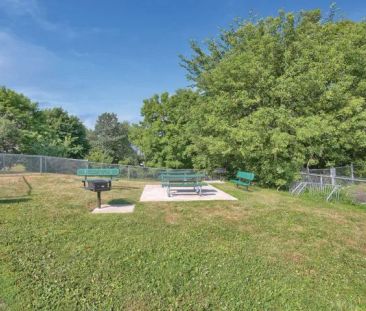 Algonquin Apartments - Photo 5