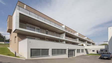 PRESSBAUM XIII/1 - Photo 2