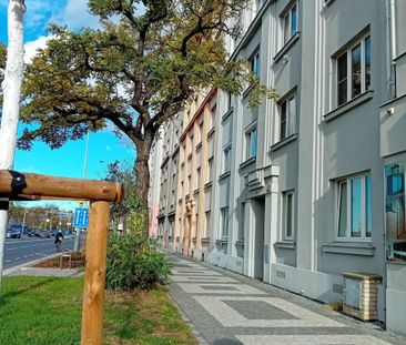 Pronájem bytu 2+kk • 60 m²Argentinská, Praha - Holešovice - Photo 5