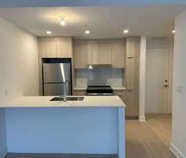 10130 Rue Lauraine-Vaillancourt, app.202, H3L 0B1, H3L 0B1, Montréal - Photo 5
