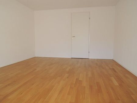 Wohnglück auf den ersten Blick! - Photo 3