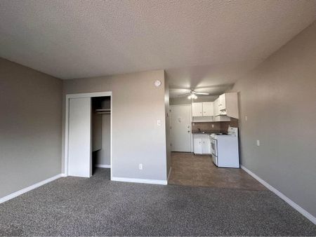 Style Manor - Photo 5