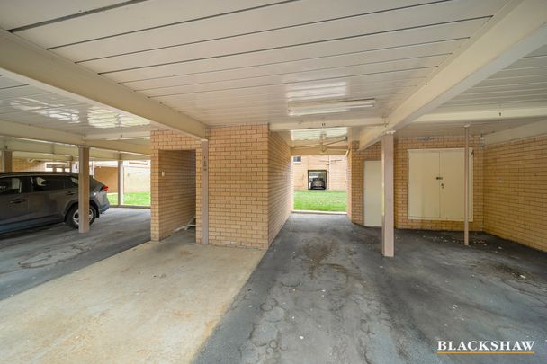 2/63 Molonglo Street, Queanbeyan NSW 2620 - Apartment For Rent | Domain - Photo 1