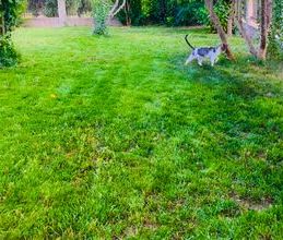 Διαμέρισμα για ενοικίαση - Κασσάνδρα, - Photo 4