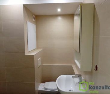 Neštěmice byt pronájem - Photo 5