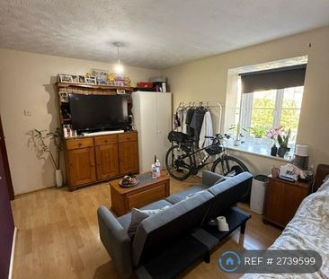 Studio to rent - Photo 4