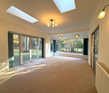 3 bedroom detached bungalow to rent - Photo 2