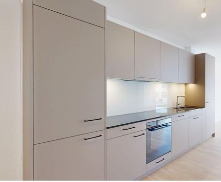 Modern wohnen an bester Lage in Aesch - Photo 2