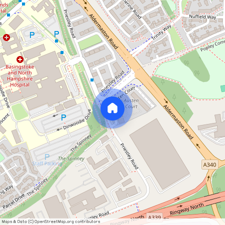 Netherfield Place, Basingstoke RG24