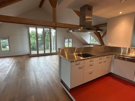 Rent a 1 room loft in Burgdorf - Photo 3