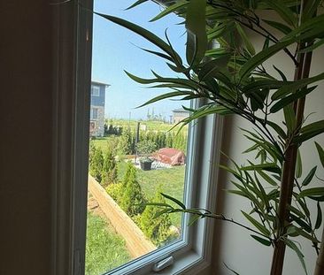 For Lease - 151 Rosie Street Unit# 81, Blue Mountains, Ontario - Photo 2