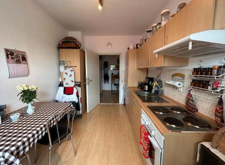 2 Zimmer Wohnung in Chemnitz (Jobcenter möglich) - Photo 2