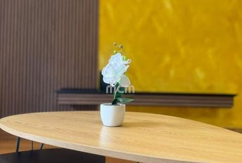 Apartamento T2 em Ilha Da Madeira