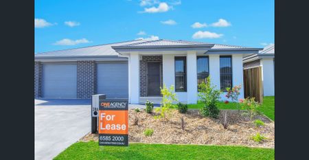 Modern 3 Bedroom Villa in Ascot Park - Photo 4