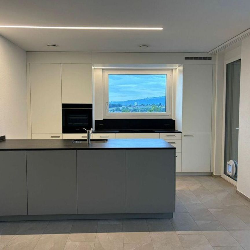 Ihre Chance - Neubauwohnung - mit 45m2 Sitzplatz ! - Foto 1