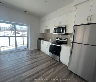 1100 Lackner Place #120 - Photo 4