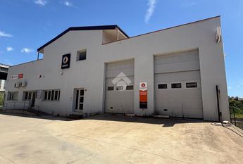 Capannone in affitto