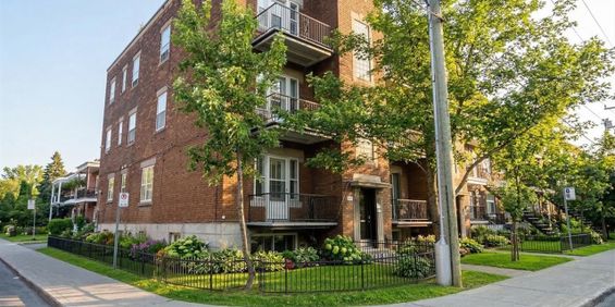 Appartement Montréal (Verdun/Île-des-Soeurs) À Louer - Photo 3