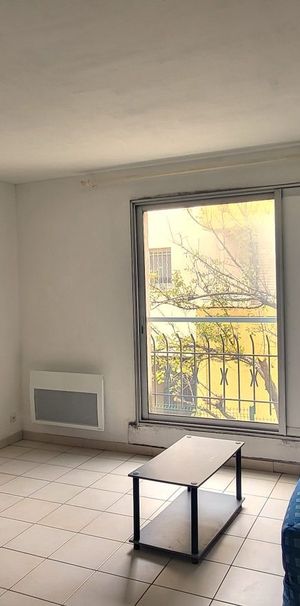 Location Appartement 1 pièce 19m² MONTPELLIER 34000 - Photo 1
