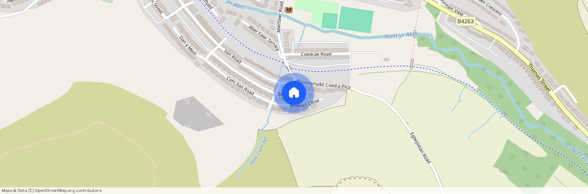 Bronmynydd, Abertridwr, Caerphilly, CF83 4ER