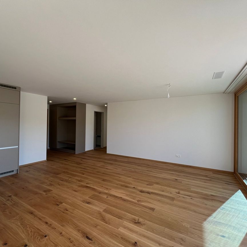 Moderne 4.5-Zimmer-Neubauwohnung mit grosser Terrasse - Foto 1