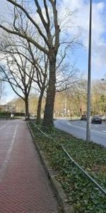 Vaartweg 1211 JD Hilversum - Foto 3