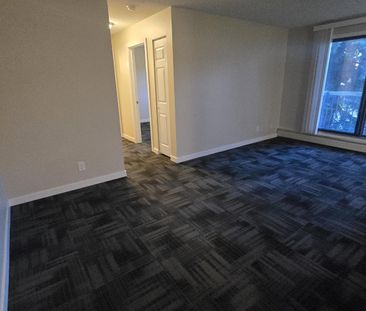Modern 1 Bedroom Apartment Downtown Available Now - Photo 2